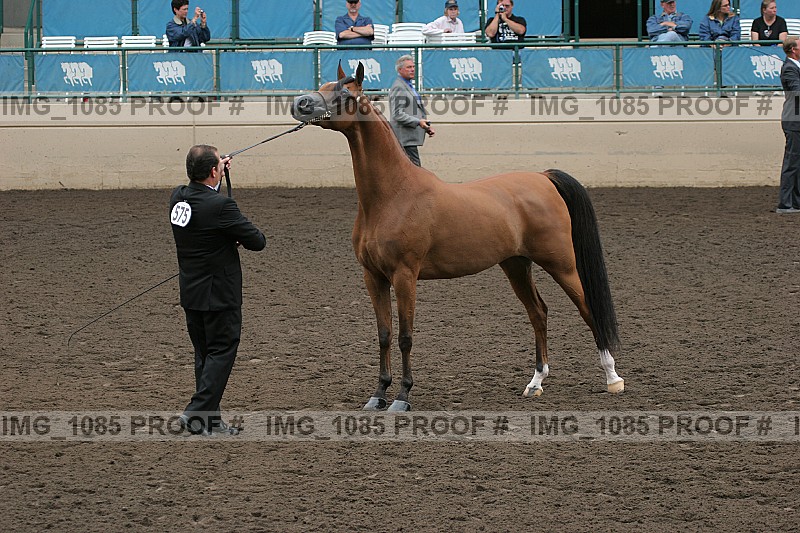 Proof img_1085