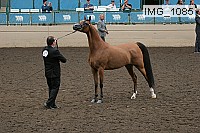 img_1085 proof