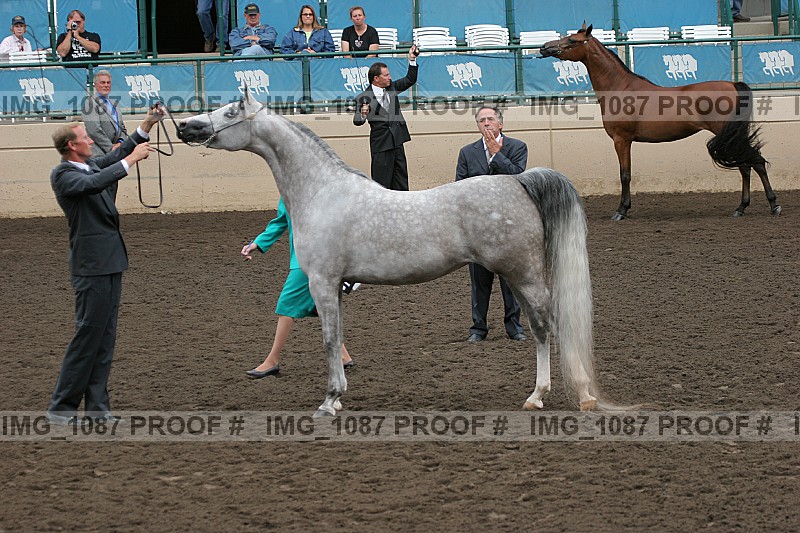 Proof img_1087
