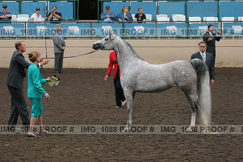 Proof img_1088