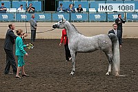 img_1088 proof