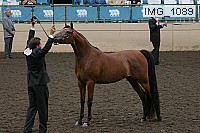 img_1089 proof