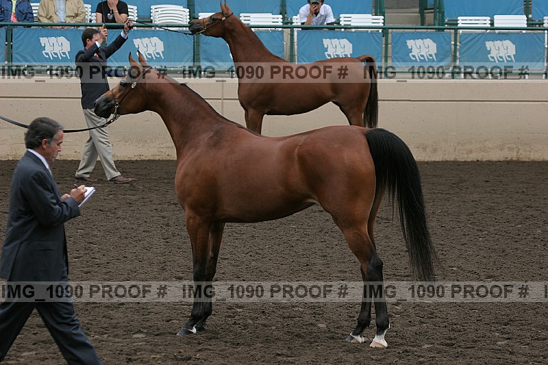 Proof img_1090