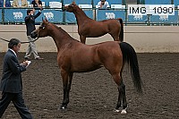 img_1090 proof