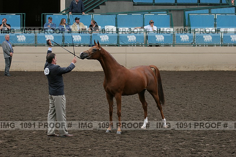 Proof img_1091