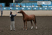img_1091 proof