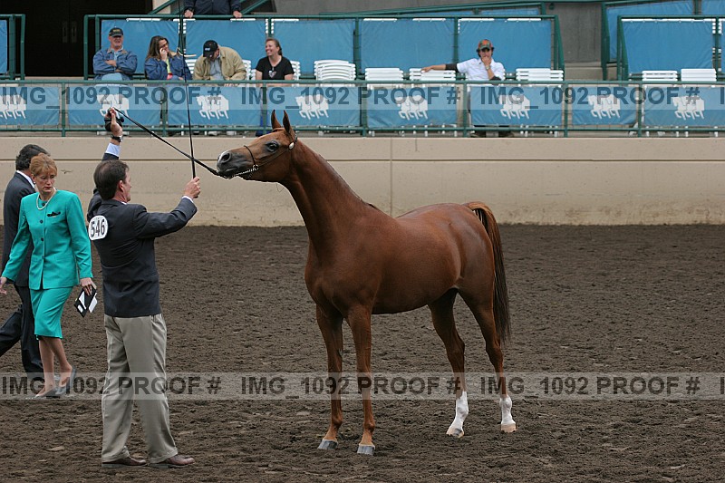 Proof img_1092
