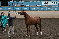 img_1092 proof