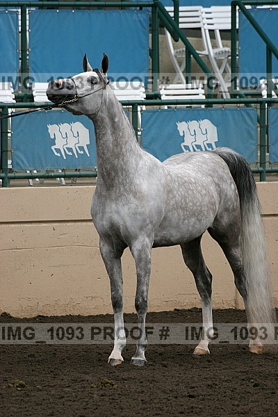 Proof img_1093