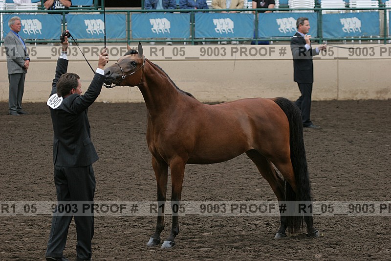 Proof r1_05__9003