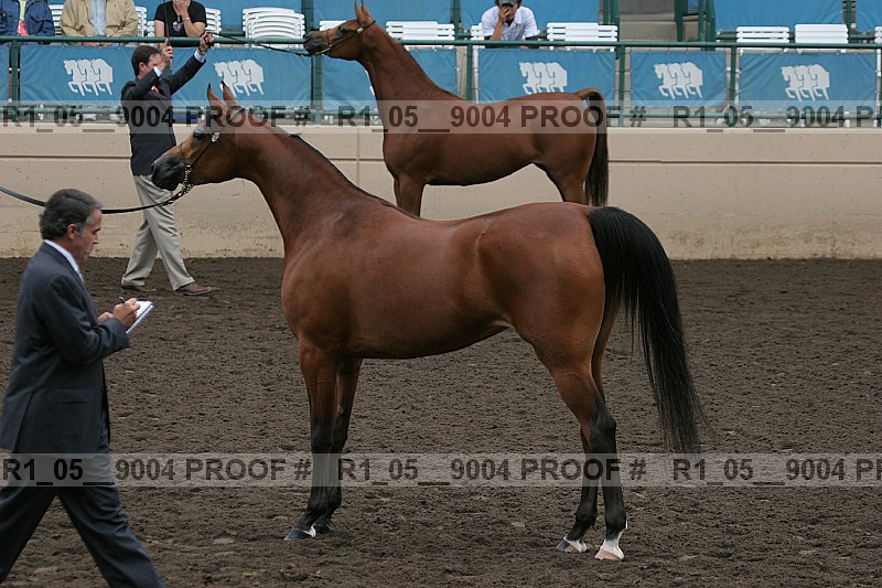Proof r1_05__9004