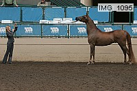 img_1095 proof