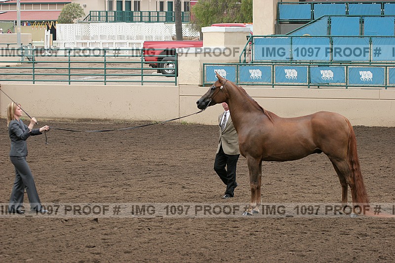 Proof img_1097