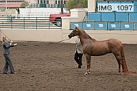 img_1097 proof