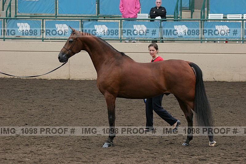 Proof img_1098
