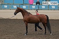 img_1098 proof