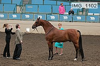 img_1102 proof
