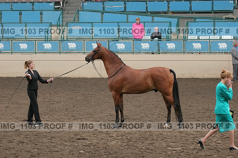 Proof img_1103