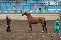 img_1103 proof