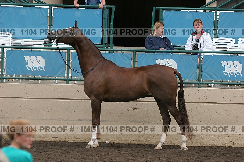 Proof img_1104