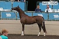 img_1104 proof