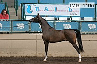 img_1105 proof