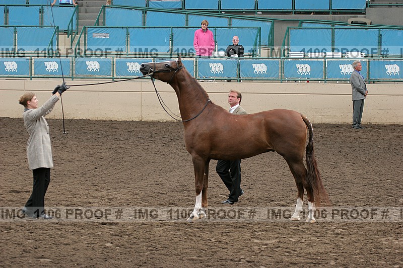 Proof img_1106