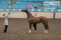 img_1106 proof