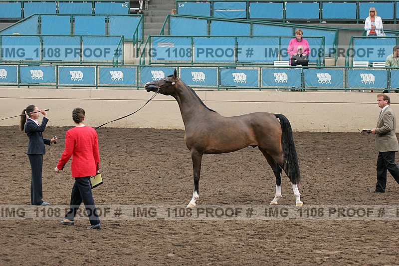 Proof img_1108