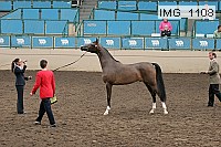 img_1108 proof