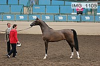 img_1109 proof