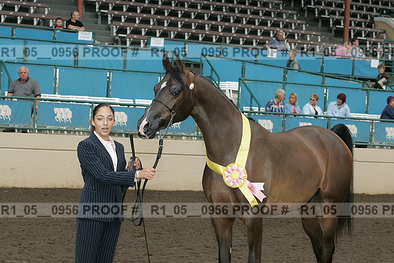 Proof r1_05__0956
