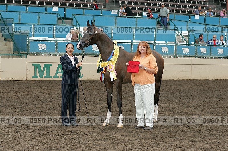Proof r1_05__0960