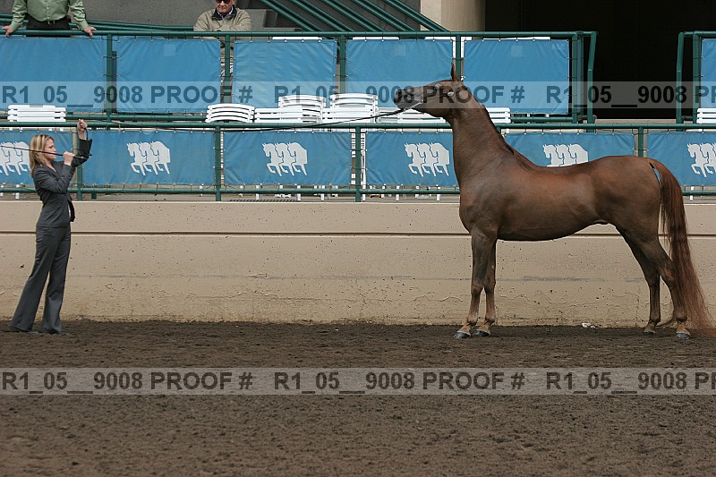 Proof r1_05__9008