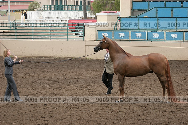 Proof r1_05__9009