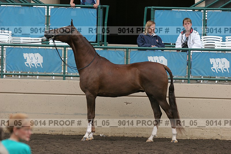 Proof r1_05__9014
