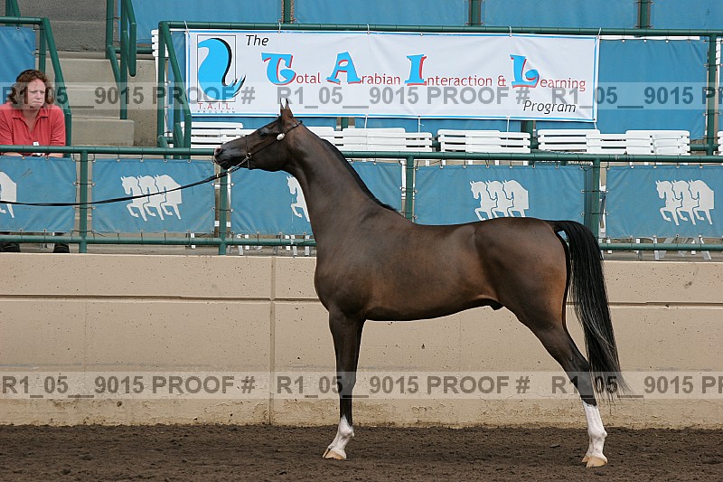 Proof r1_05__9015