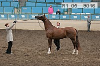 r1_05__9016 proof
