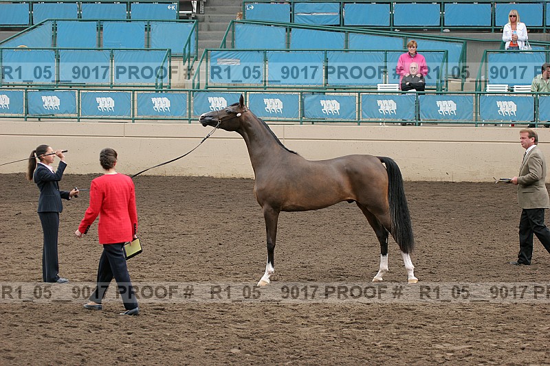Proof r1_05__9017