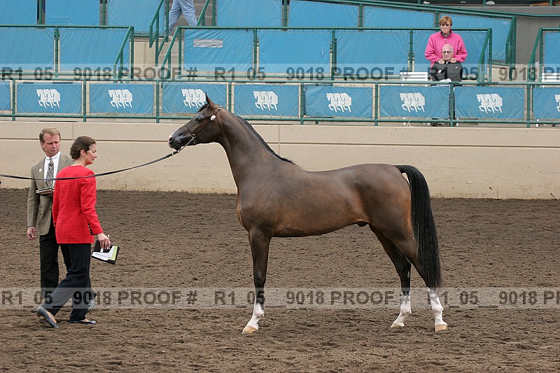 Proof r1_05__9018