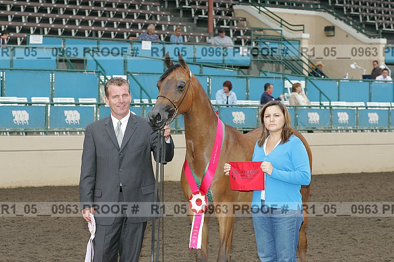 Proof r1_05__0963