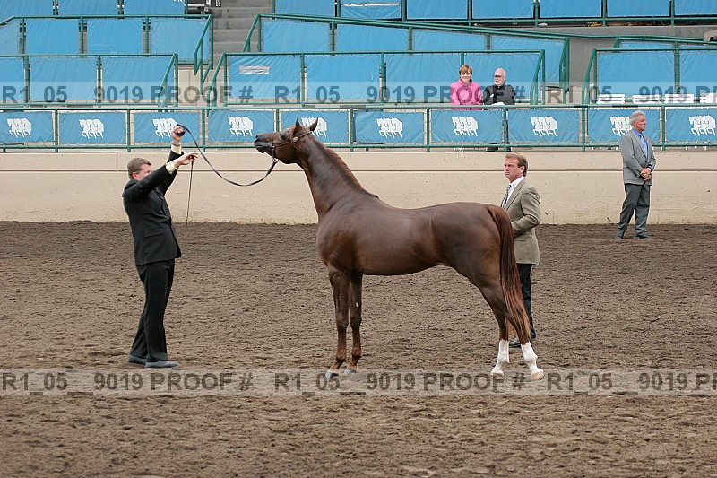 Proof r1_05__9019
