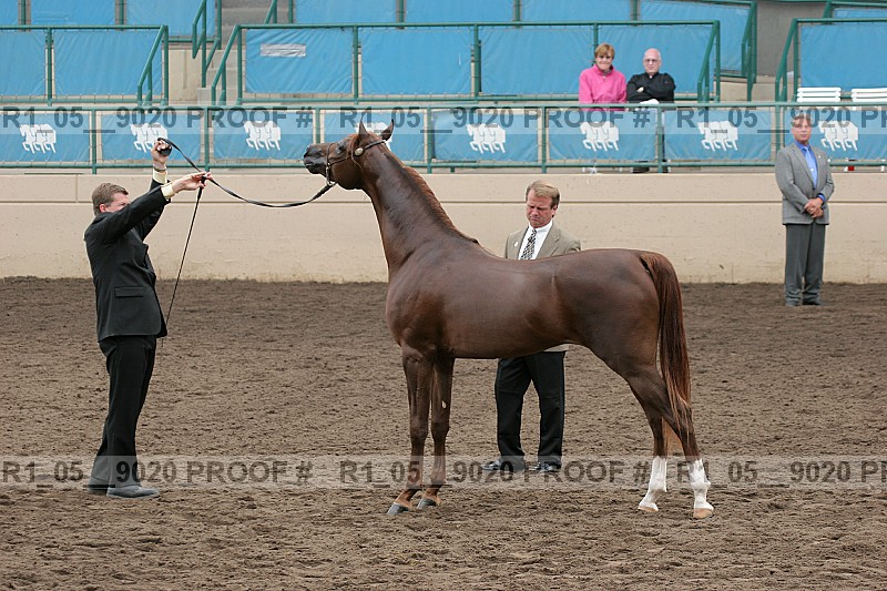 Proof r1_05__9020