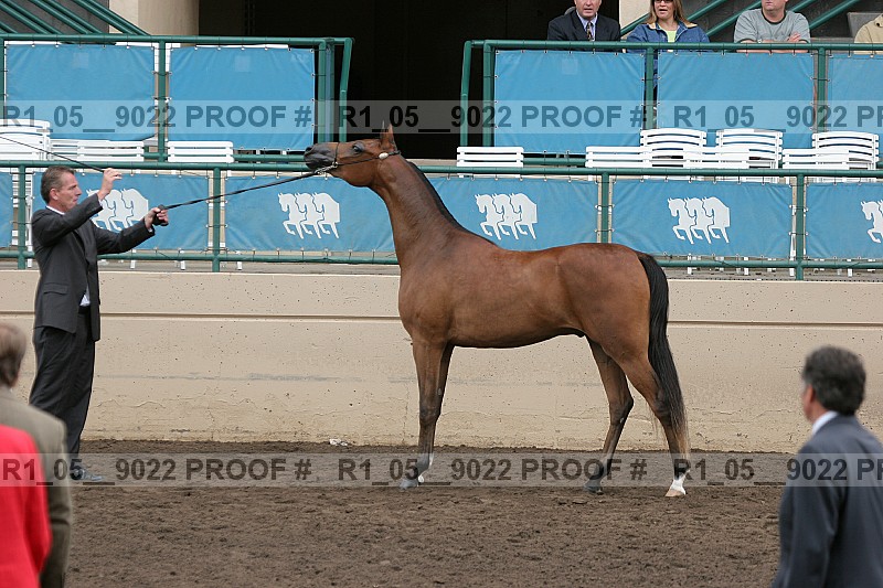 Proof r1_05__9022