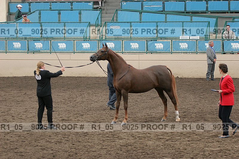Proof r1_05__9025
