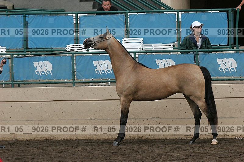 Proof r1_05__9026