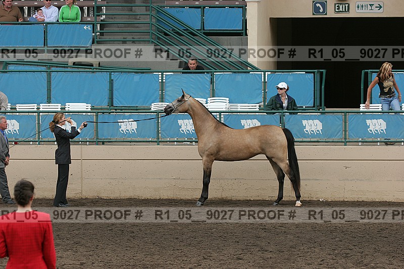 Proof r1_05__9027