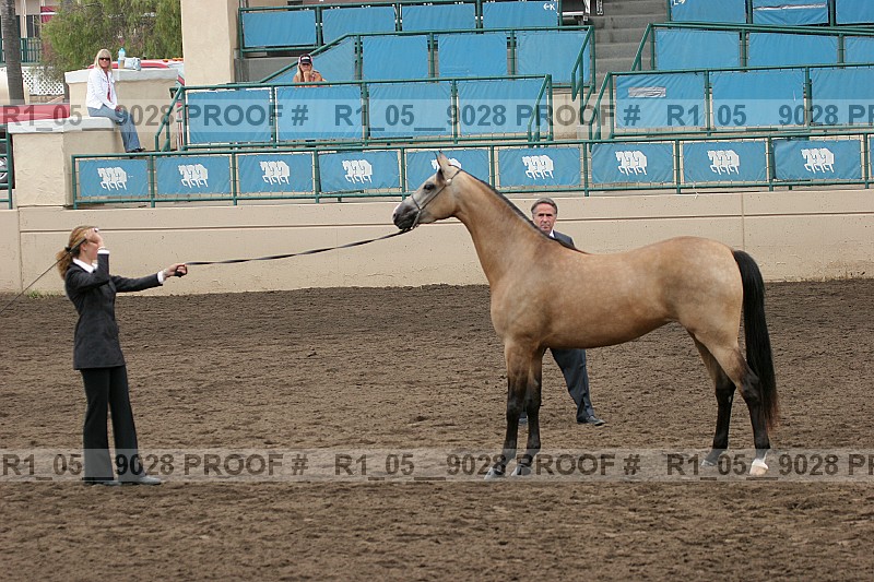 Proof r1_05__9028