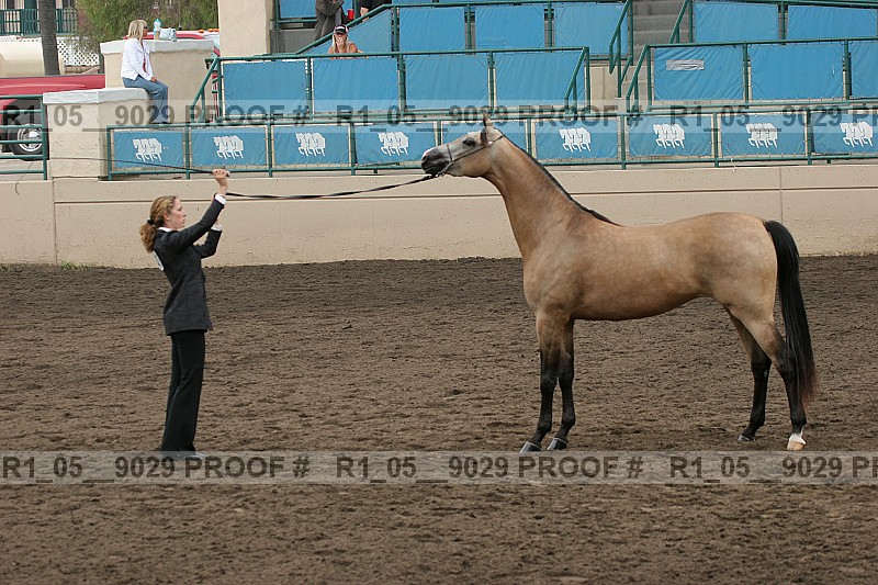 Proof r1_05__9029