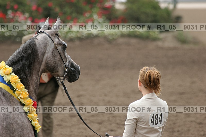 Proof r1_05__9031